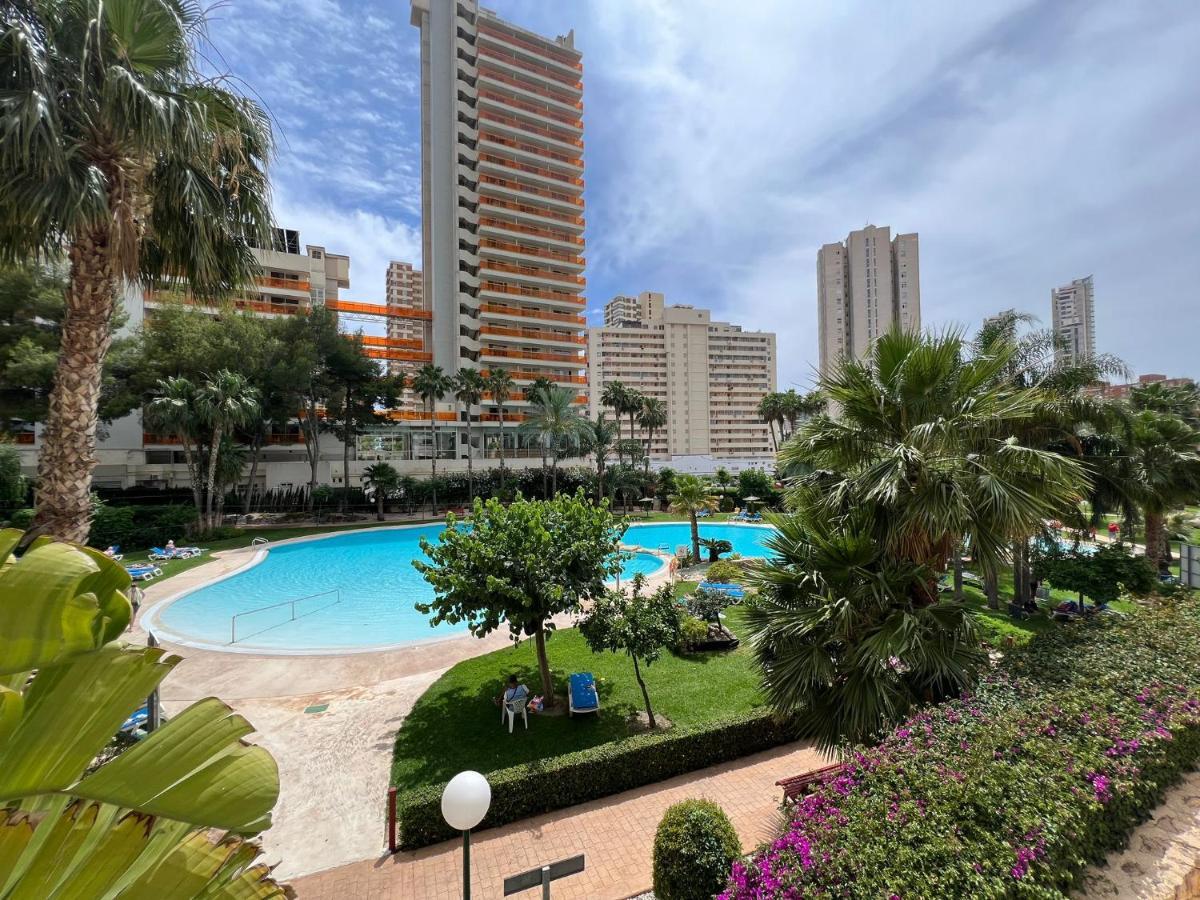 Gemelos 22-3-12 Apartamento Benidorm