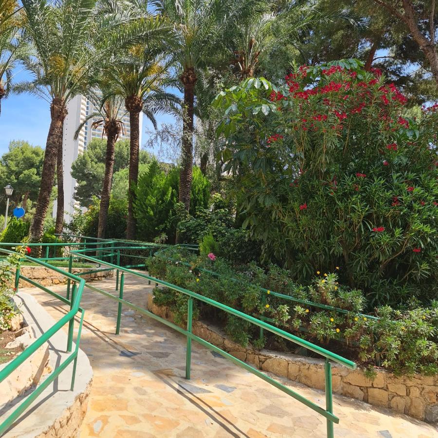 Alco Apartamentos: Playmon Park Apartamento *
