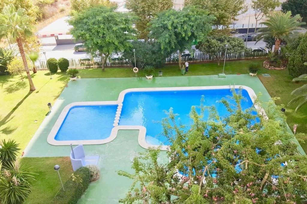 Apartamento En Levante En Planta 17 Apartamento Benidorm