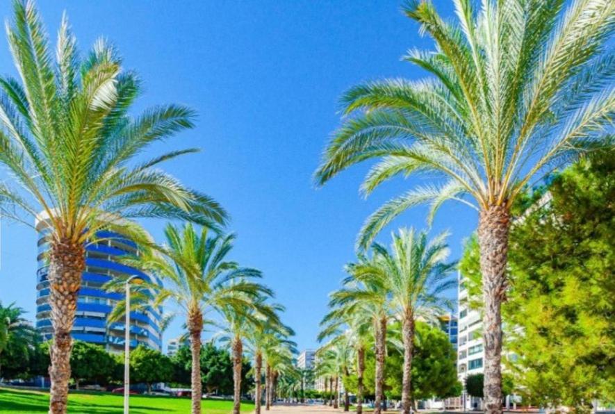 Bali Area Benidorm