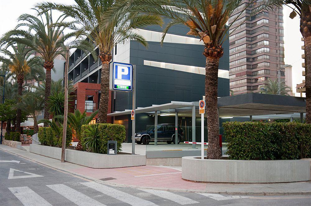 El Palmeral