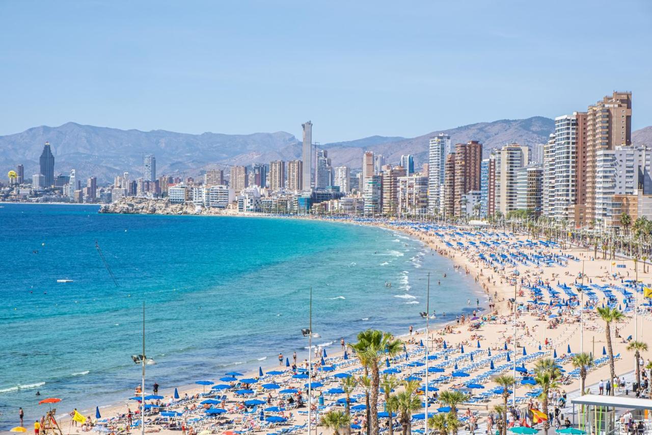 Albatros 13-8 Estudio Levante Apartamento Benidorm