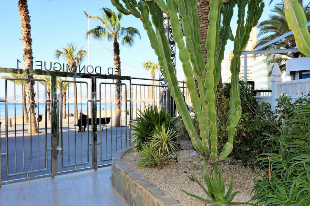 Apartamento Luxurious 2-bedroom With Stunning Views, 1st Line On Levante Beach, Benidorm