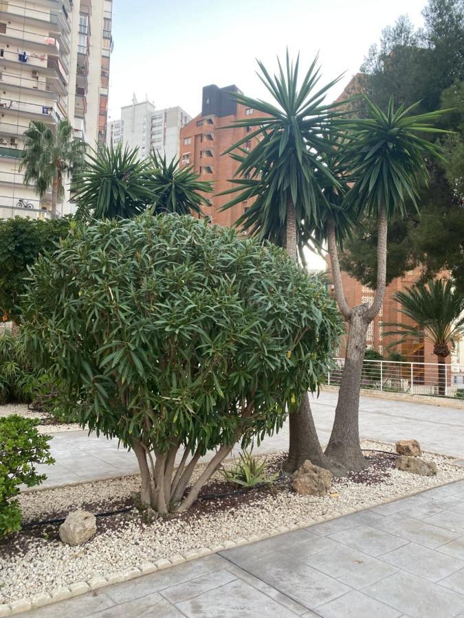 Torre Monaco Apartamento Benidorm