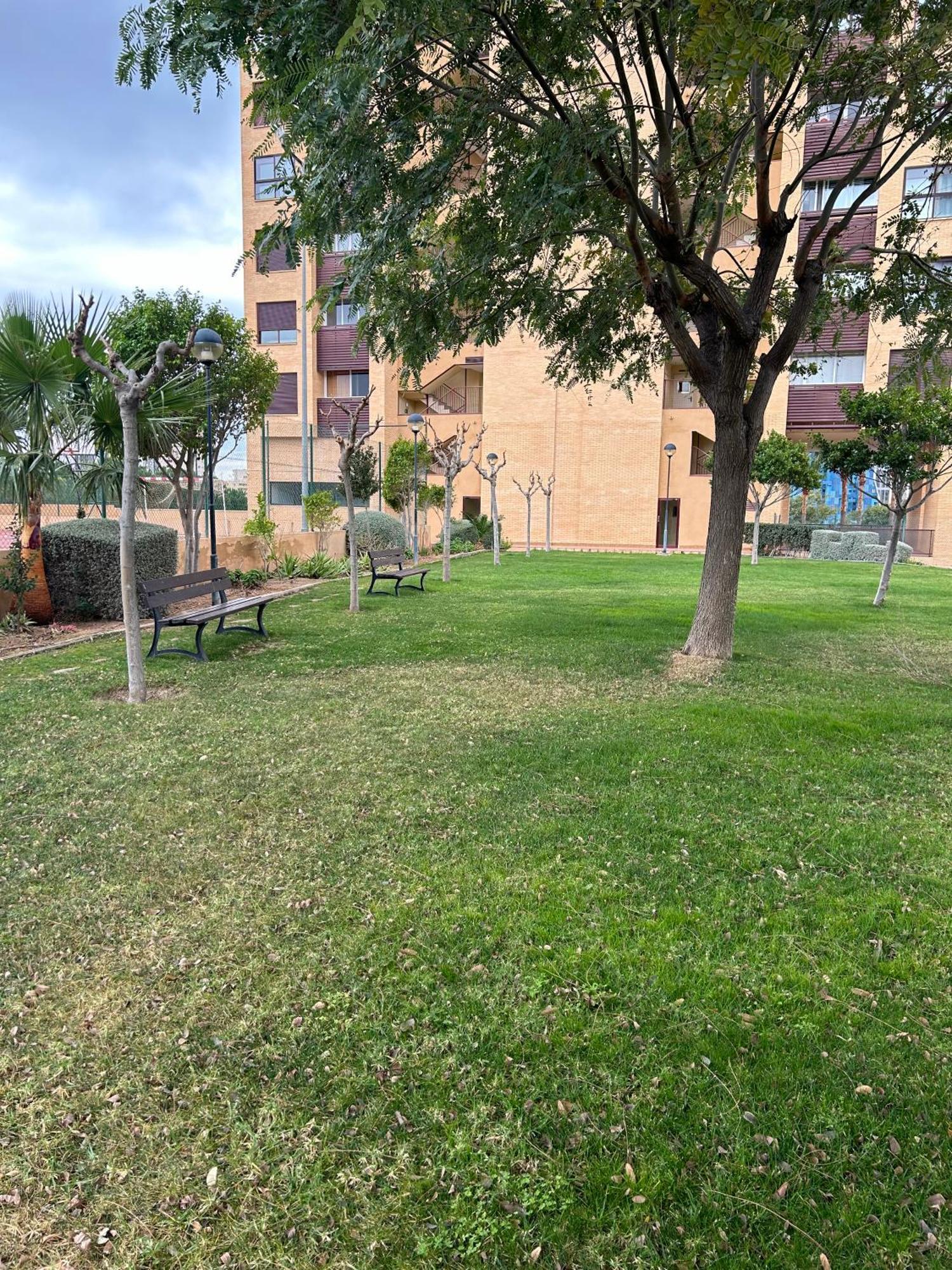 Terrazas * Benidorm