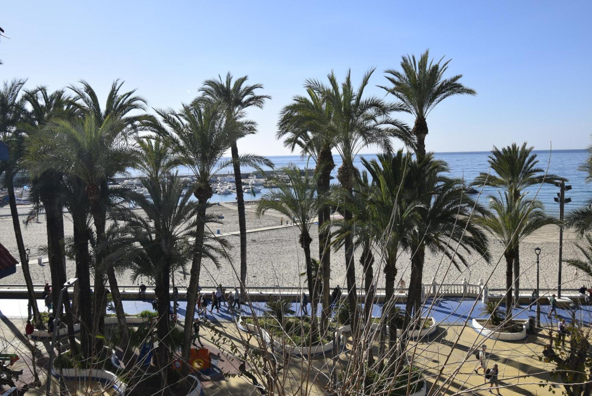 San Pedro 2 - Arena * Benidorm