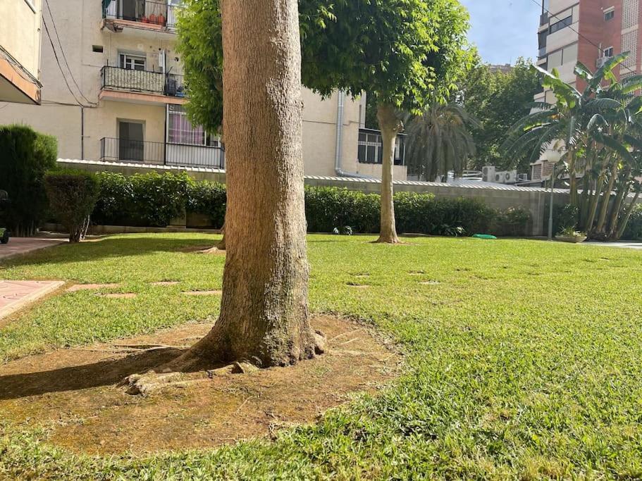 Inmejorable Ubicacion,70m Playa 70m Pueblo Apartamento