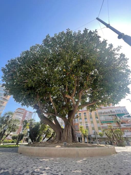 Inmejorable Ubicacion,70m Playa 70m Pueblo Apartamento Benidorm