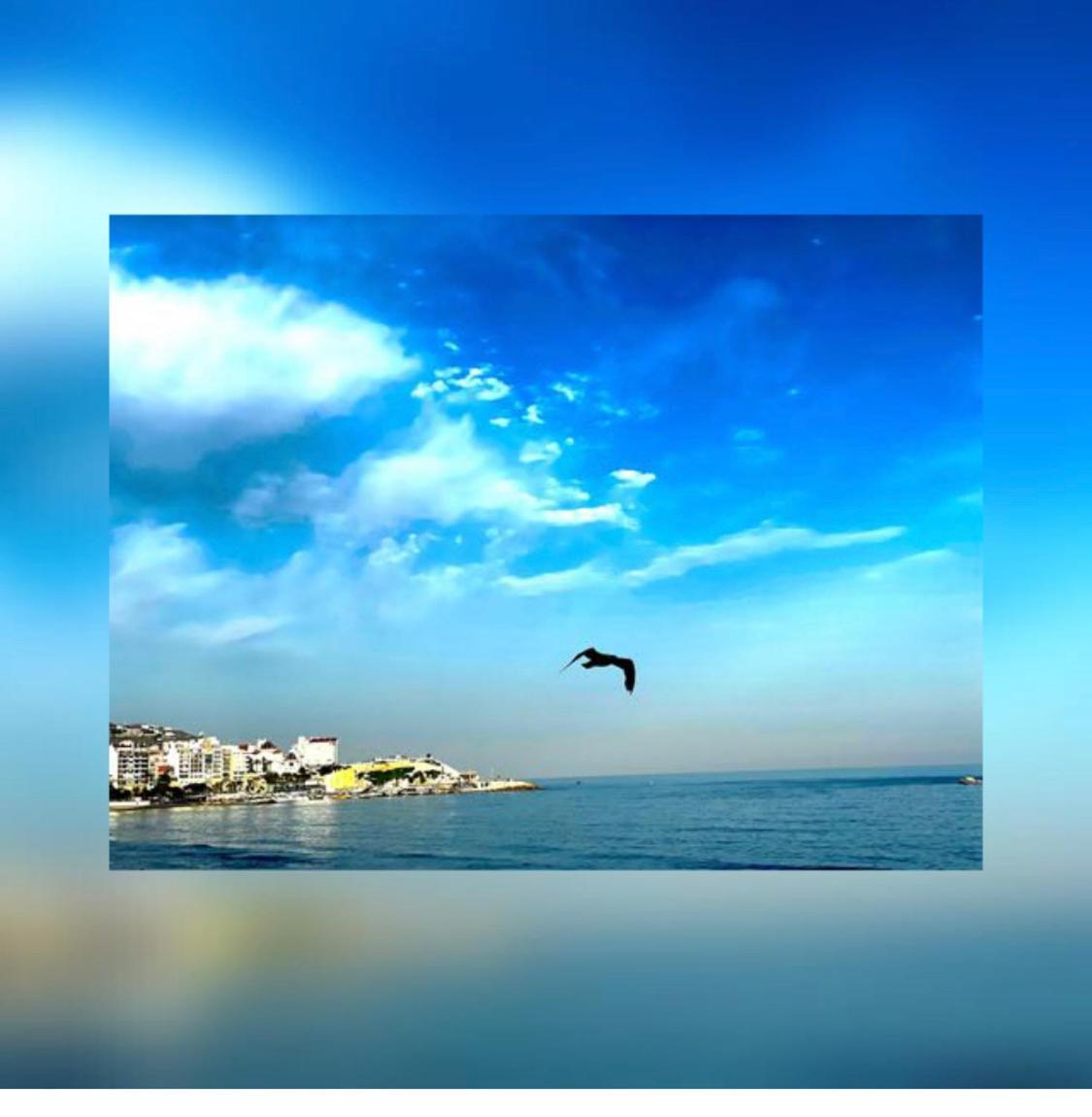 Apartamento Frente Al Mar *