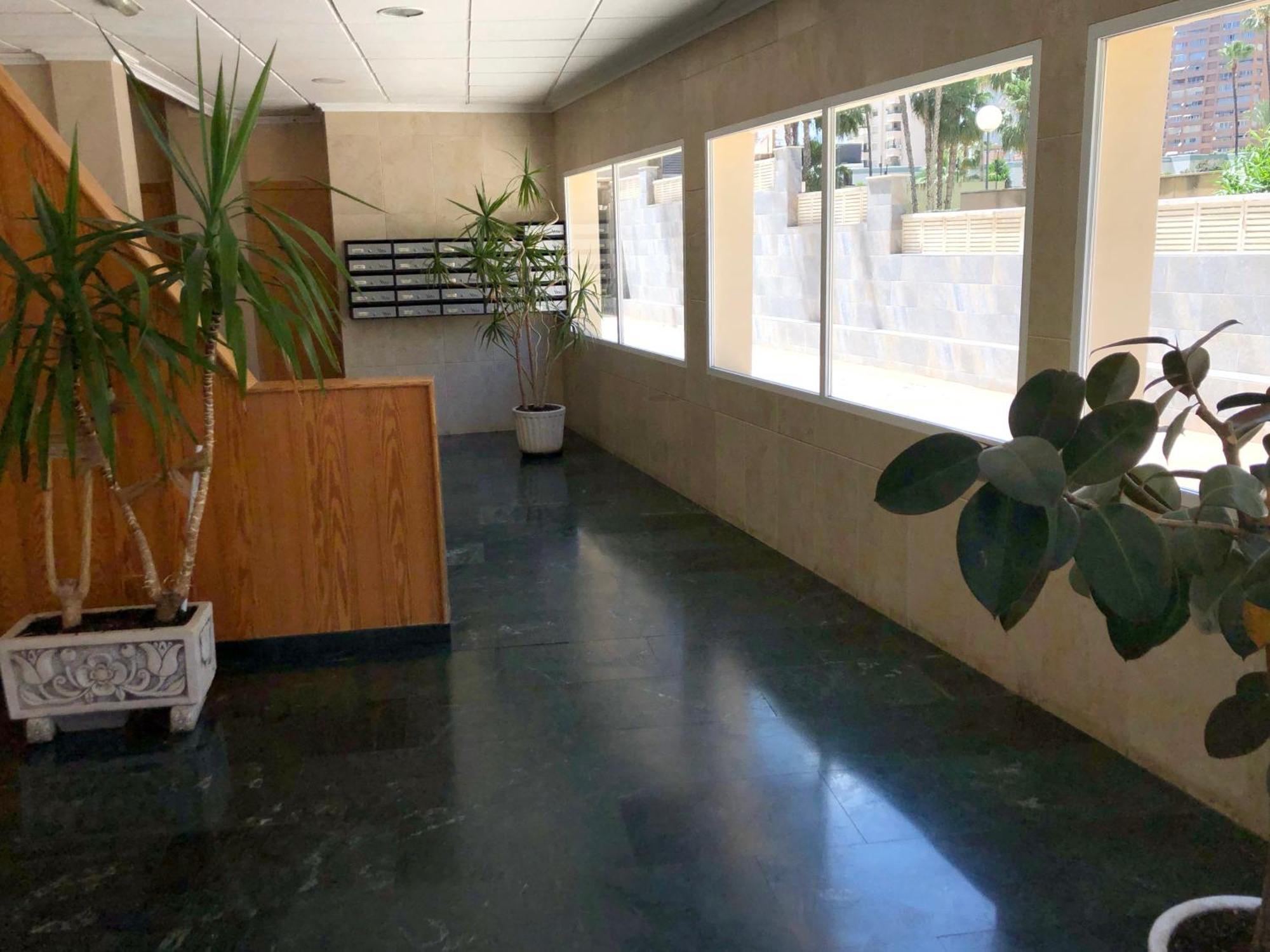 Apartamento Niza 3b Benidorm