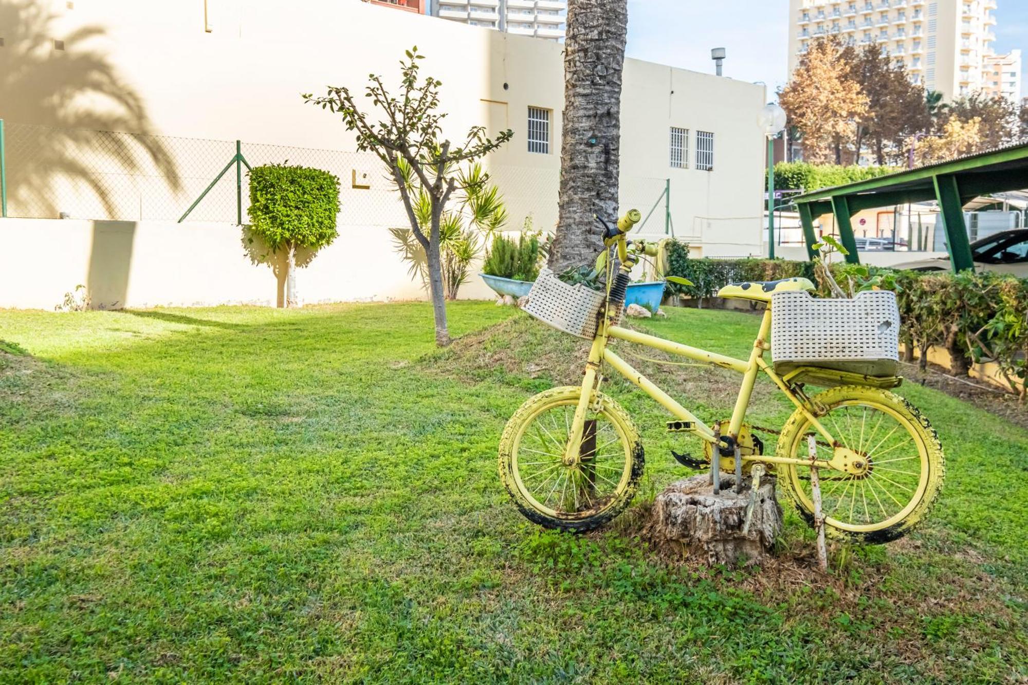 Apartamento Alteanos 16-2 *