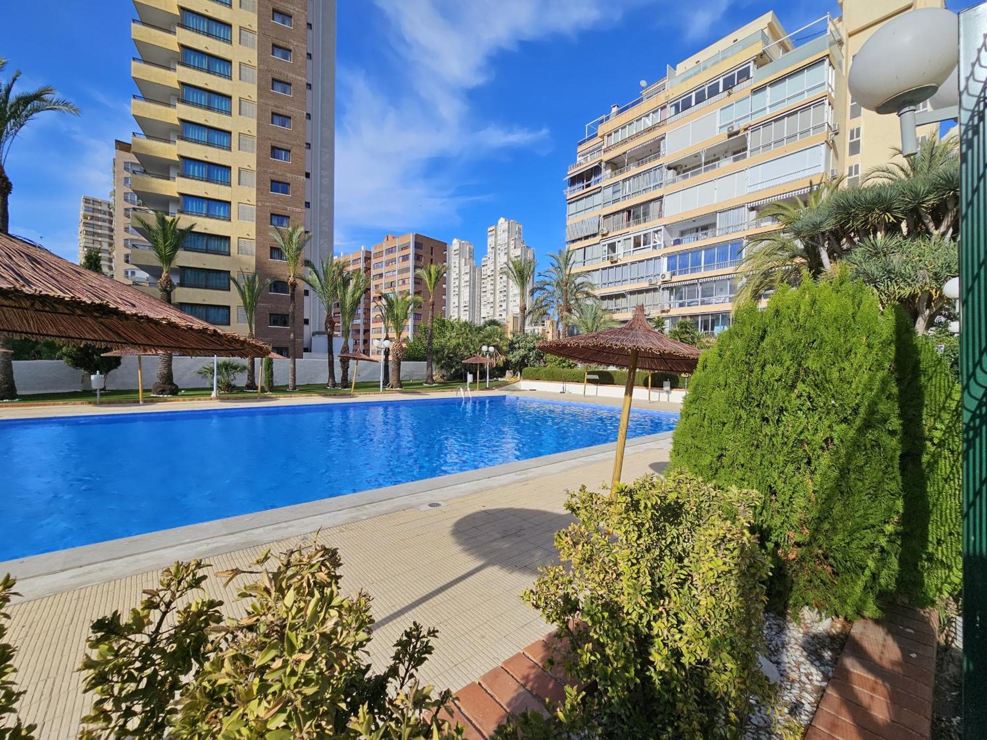 Apartamento Estudio Bermudas If Benidorm