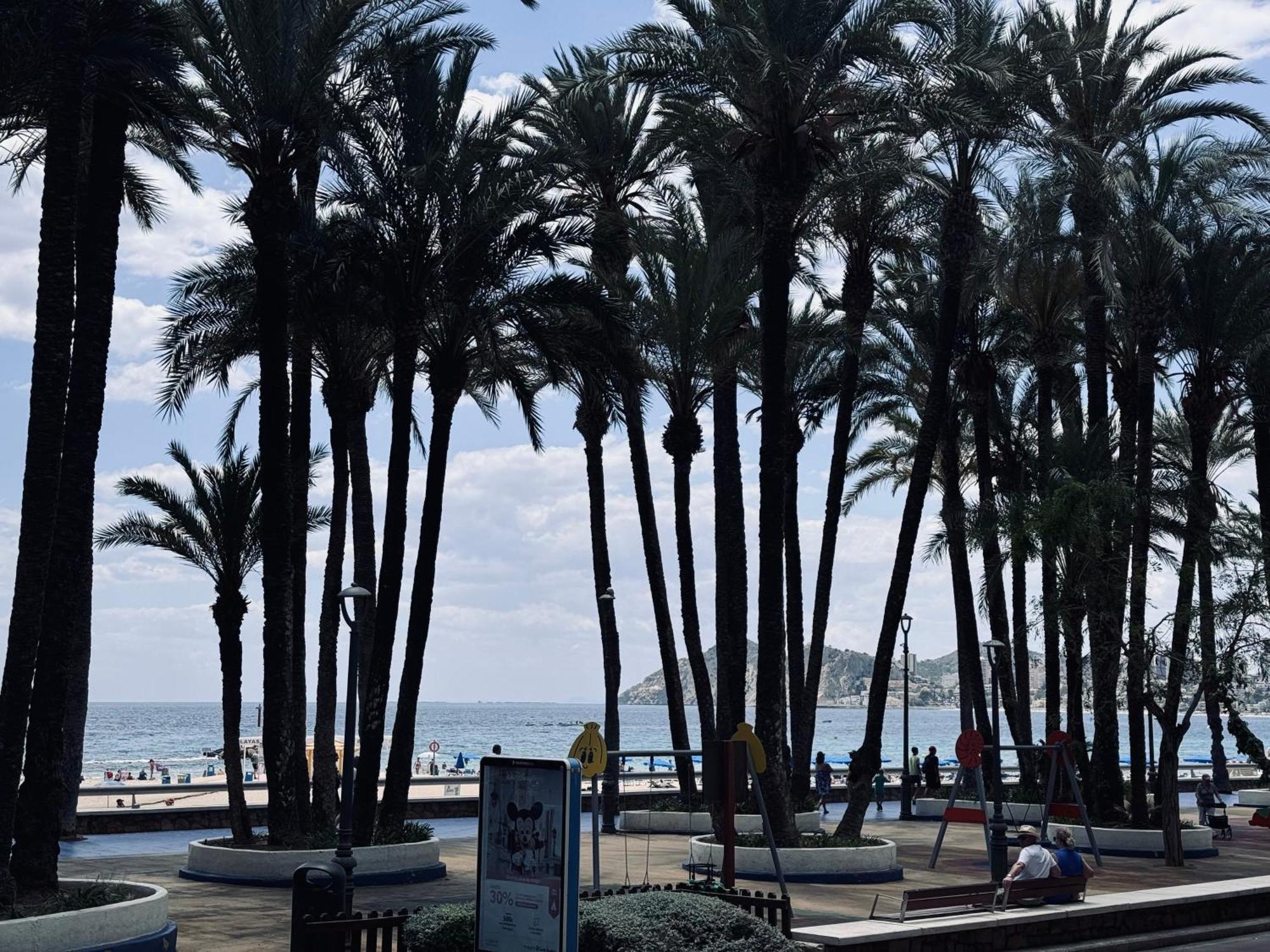 Secretos Del Mediterraneo Benidorm