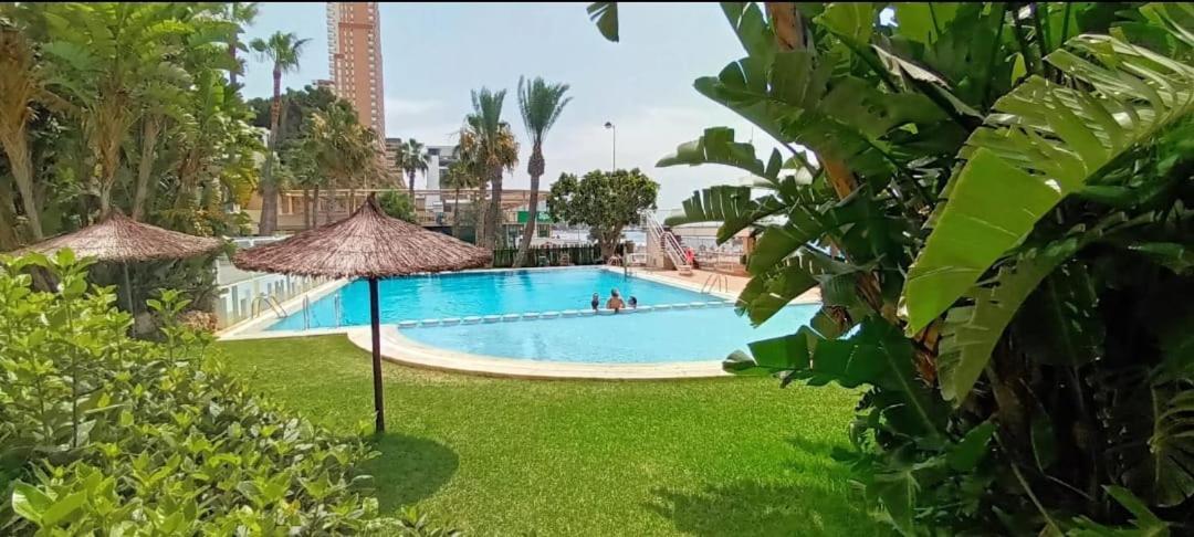 Apartamento Acapulco First Line Benidorm