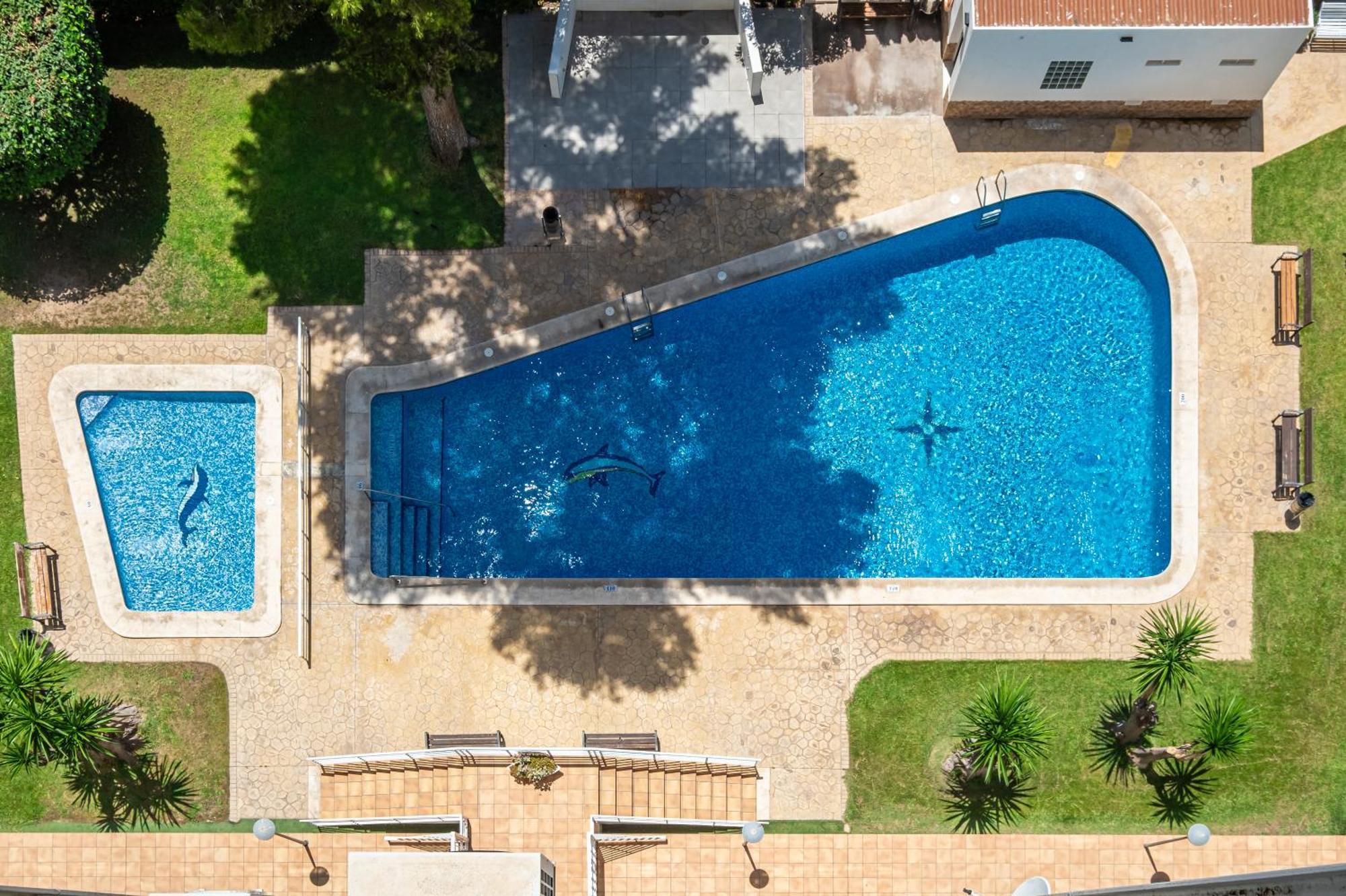 Apartamento Albatros 12-8 Benidorm