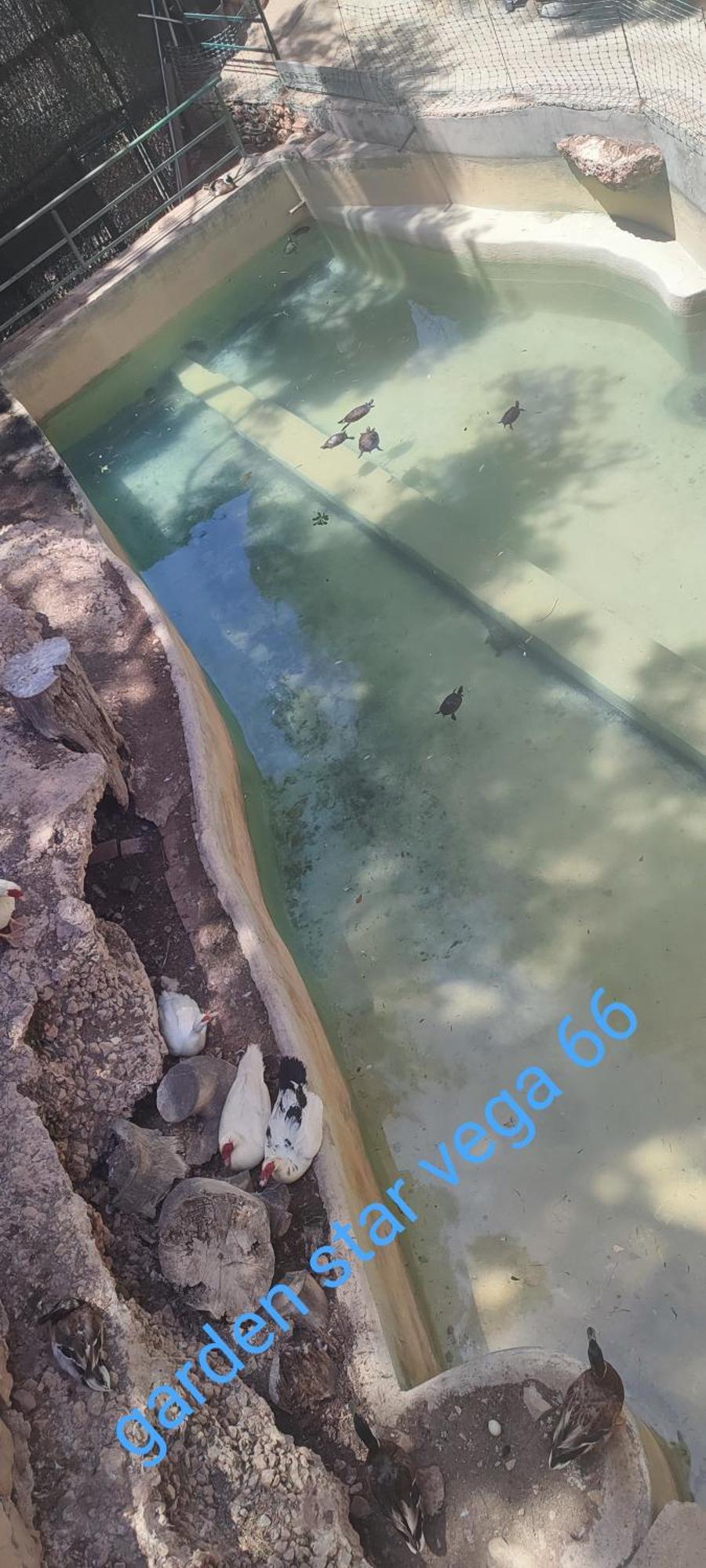 Star Vega 66 Benidorm