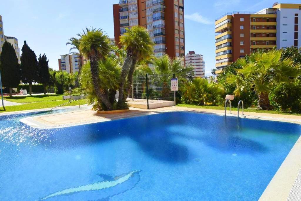 Apartamento Views *