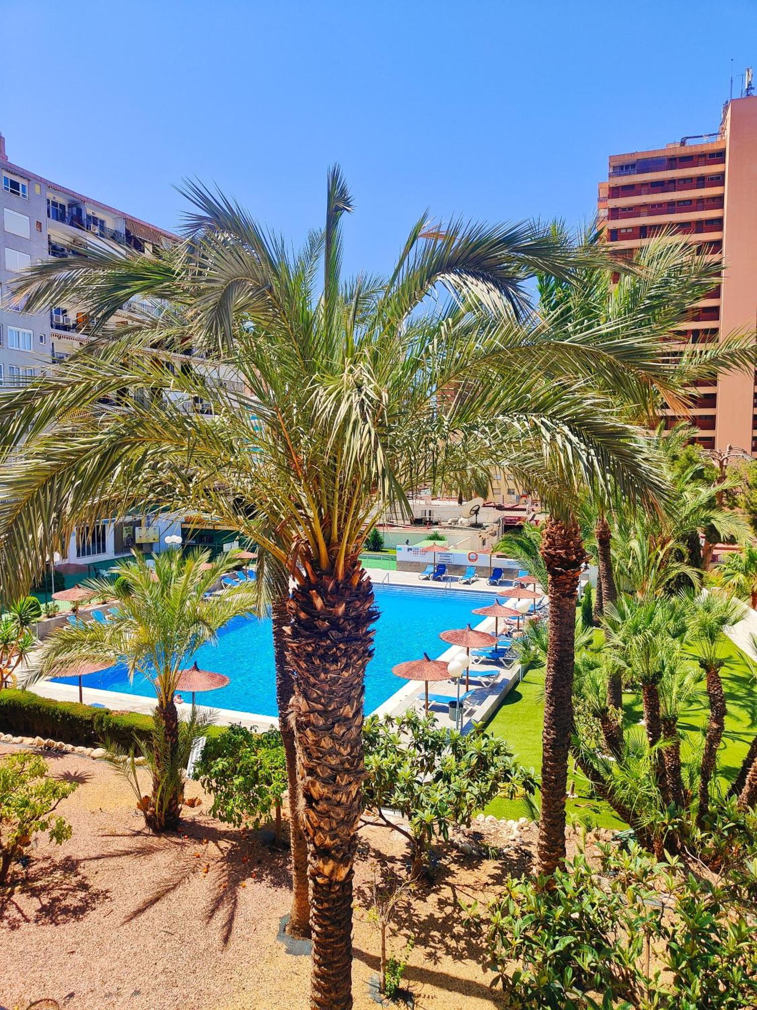 Apartamento Versailles 2-9 Benidorm