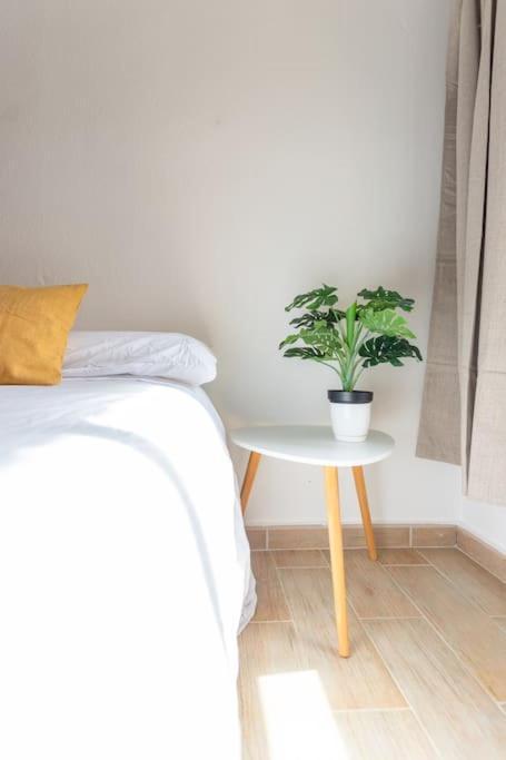 Apartamento Entre Dos Playas