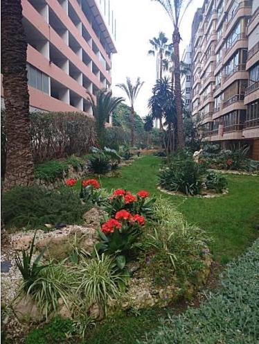 Centrico En 1a Linea De Playa Apartamento