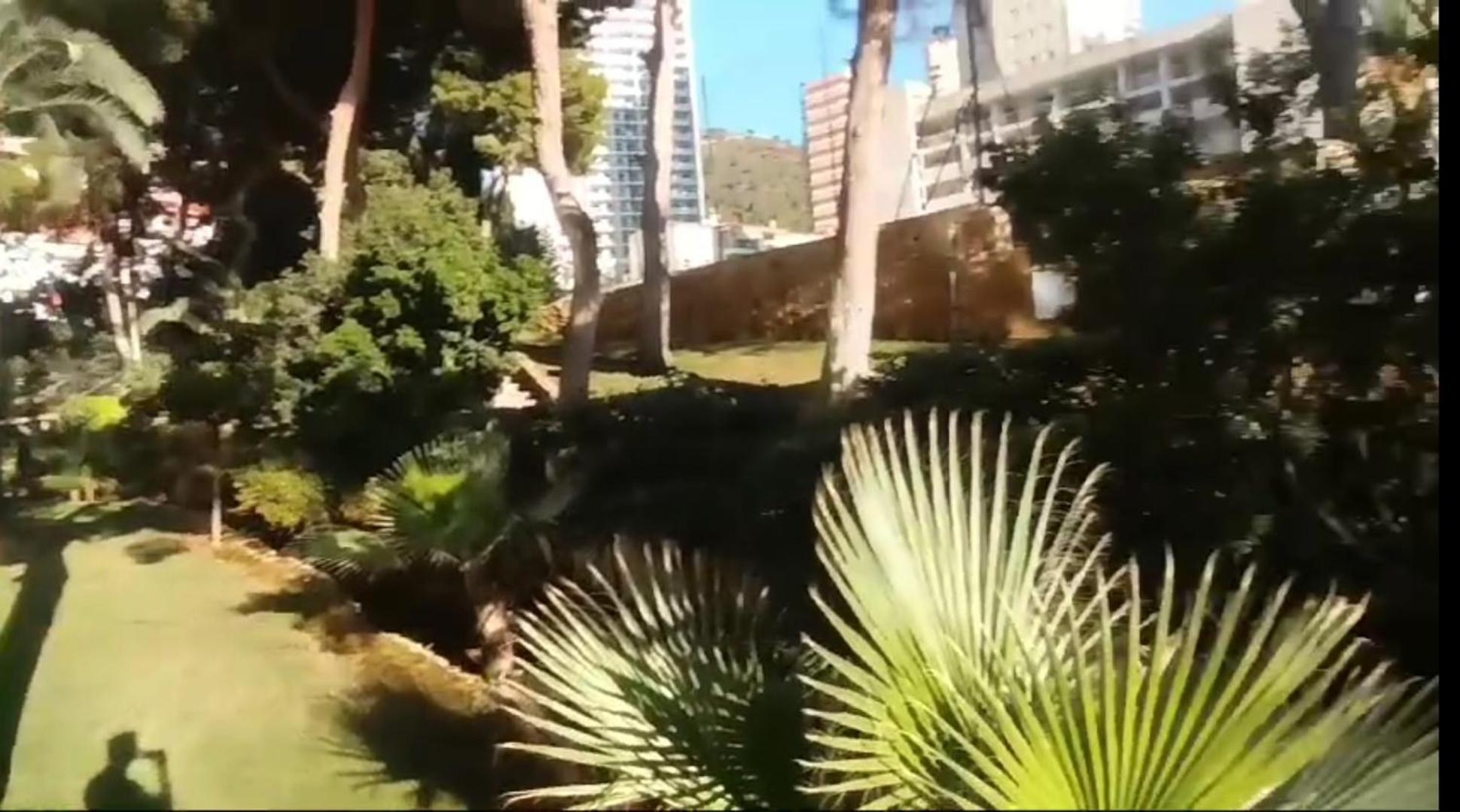 Nuevo Apto Hasta 6 Personas Muy Cerca De Playa Levante Con Jardines Y Gran Piscina , Pista De Tennis Y Futbol Deportes Y Zona Infantil ,en Urbanizacion Con Parking Apartamento Benidorm