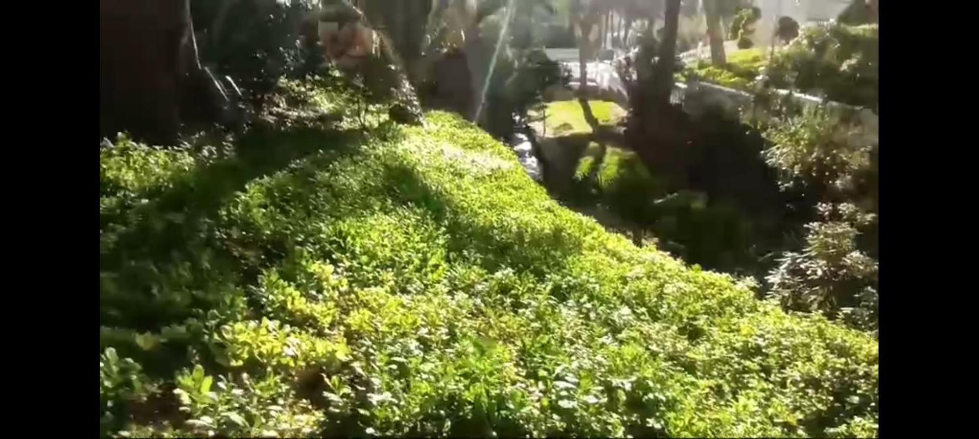 Nuevo Apto Hasta 6 Personas Muy Cerca De Playa Levante Con Jardines Y Gran Piscina , Pista De Tennis Y Futbol Deportes Y Zona Infantil ,en Urbanizacion Con Parking Apartamento *