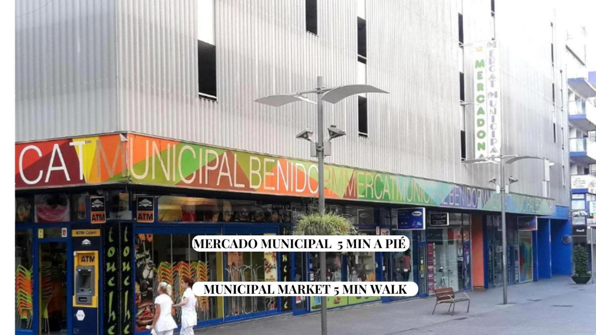 Completo Maravall Centro Benidorm