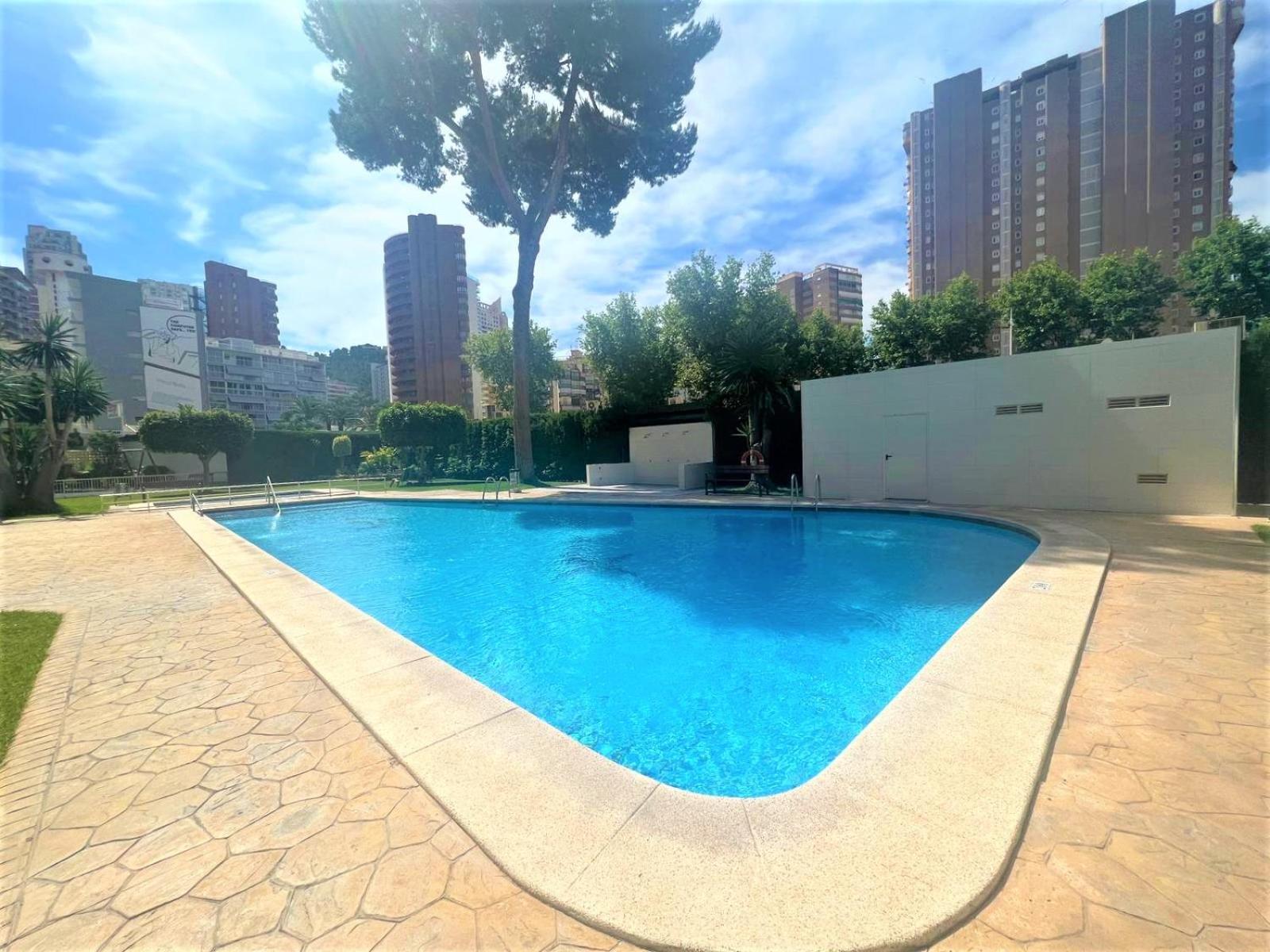 Albatros 18 Apartamento
