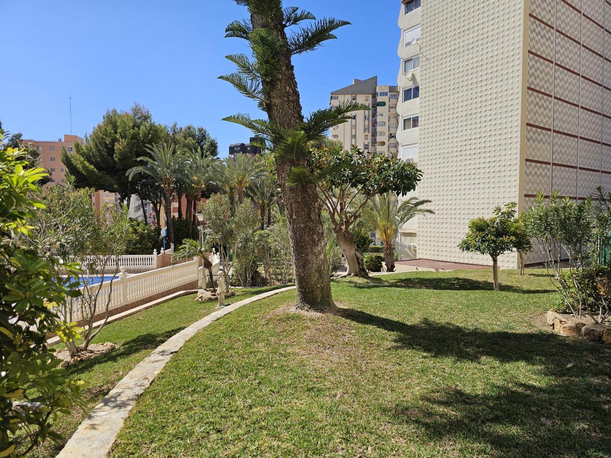 Tierra Del Sol If *
