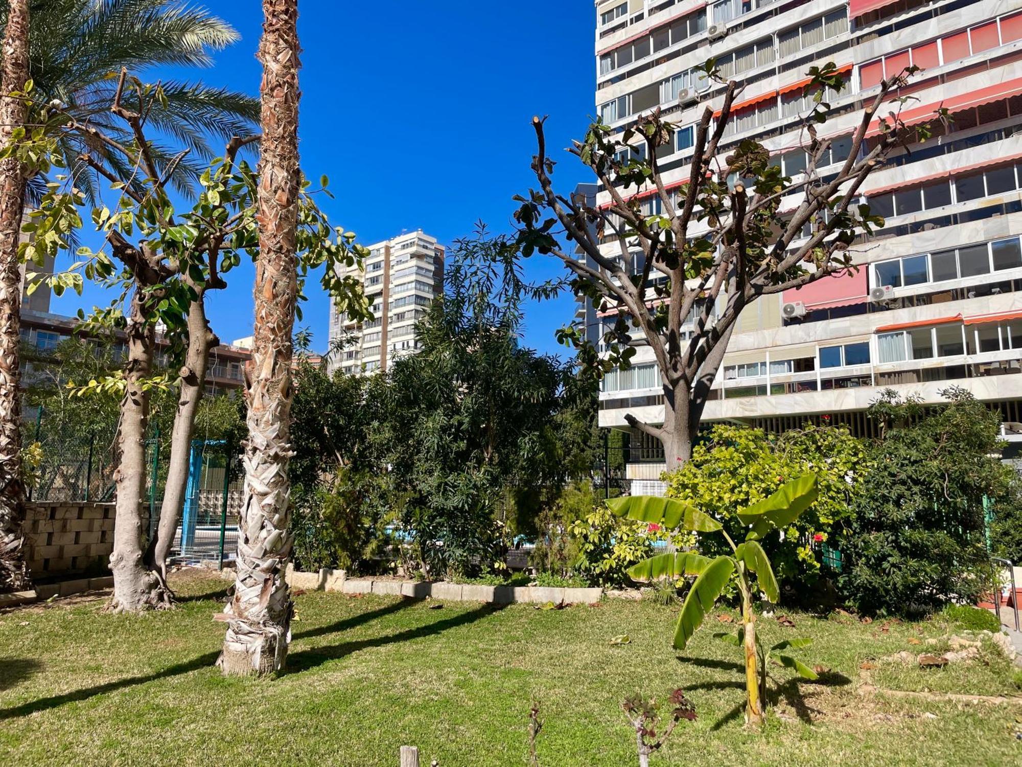 Relax Y Confort, Reformado Con Piscina Apartamento