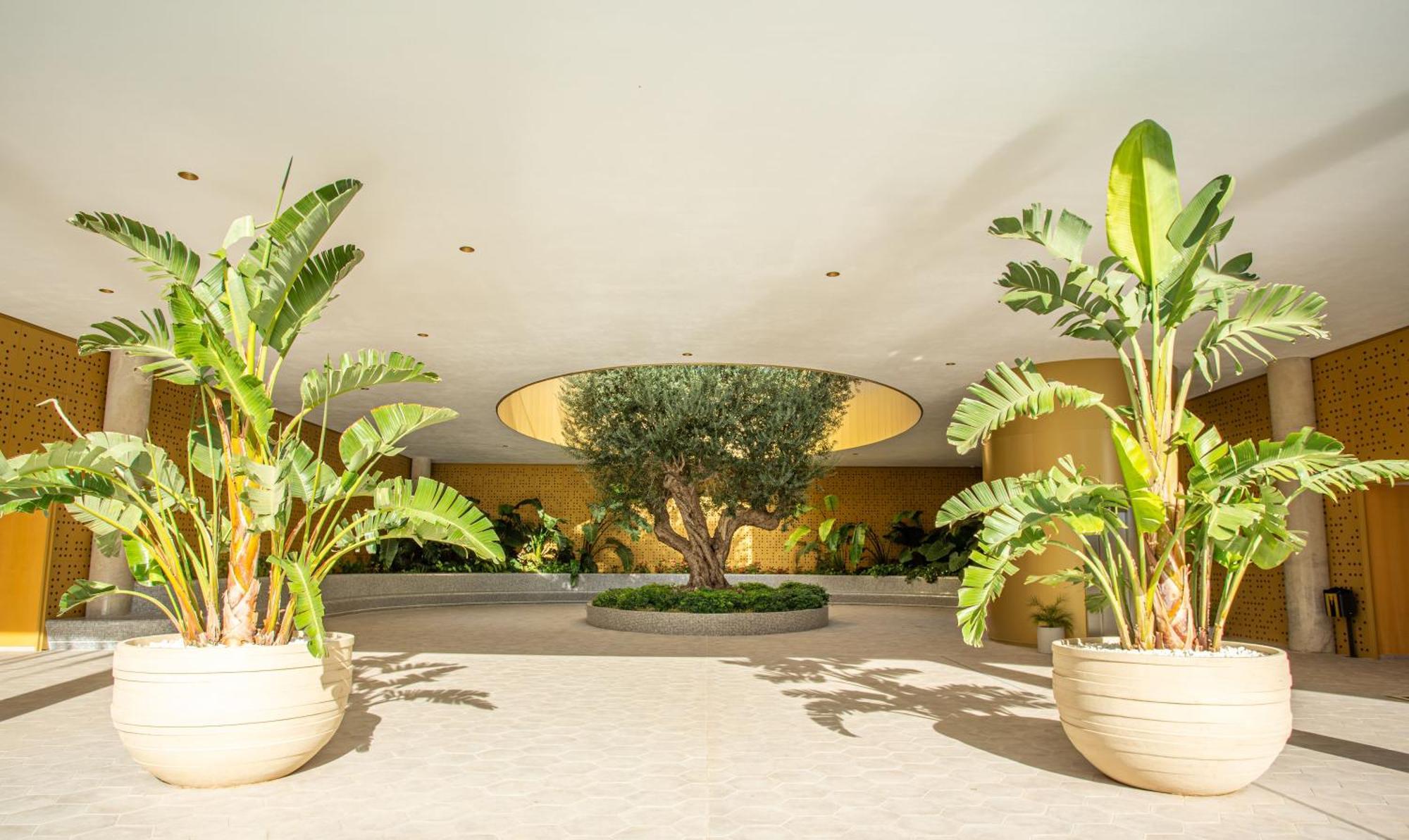 Apartamento Intempo By Holuxe - 024 - 2nd Floor Benidorm