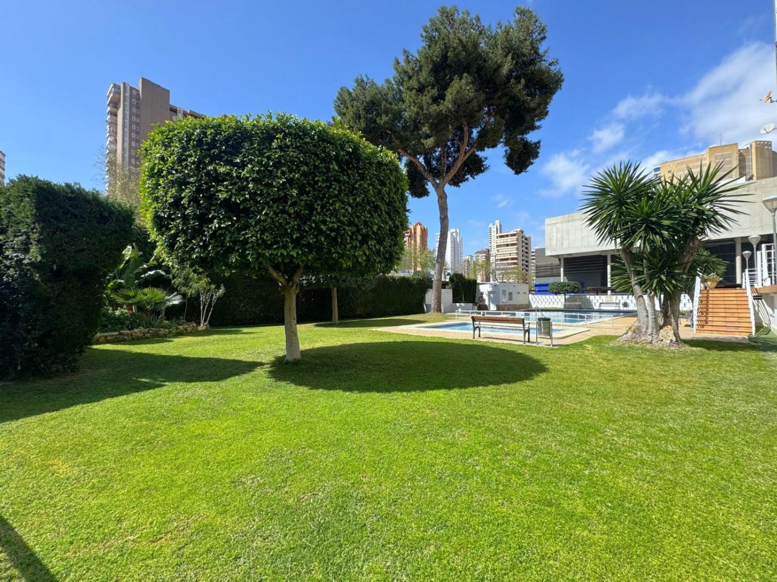 Apartamento Albatros 14-12 *