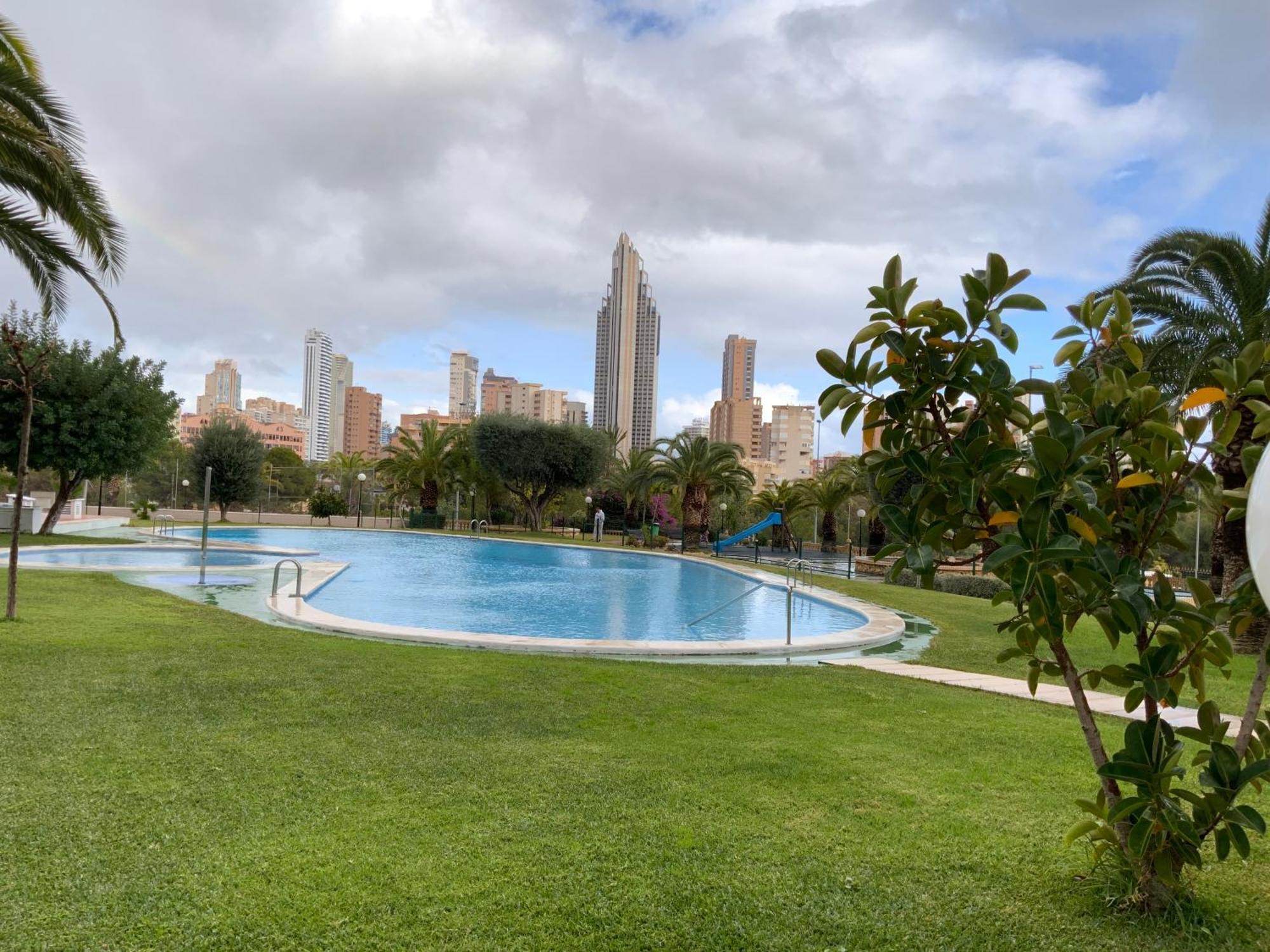 Olivos Benidorm