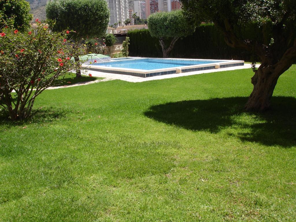 Olivos - *