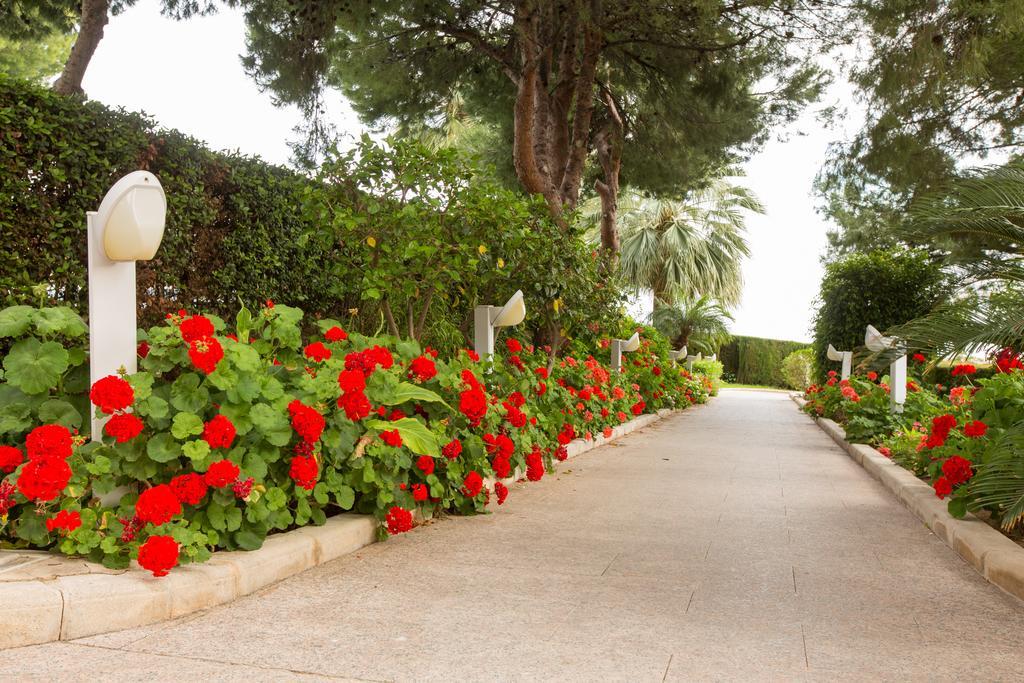 Balcon De Poniente 2116 Benidorm