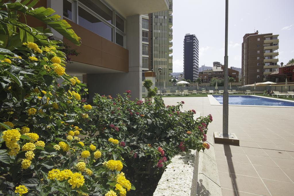 Apartamento Coblanca 41 - Beninter