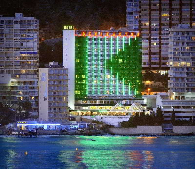 Kaktus Benikaktus 3*