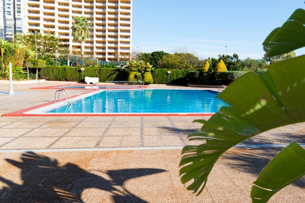 Turísticos Paraiso 10 - Gestaltur Benidorm