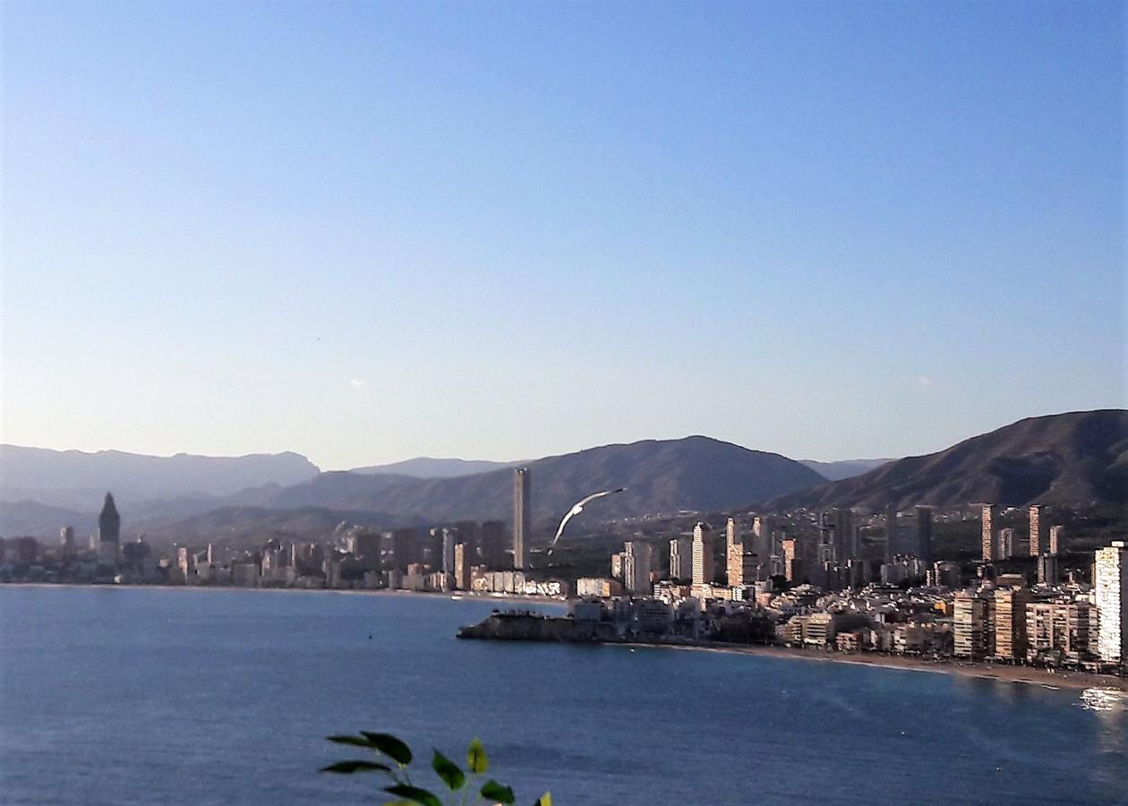 Gemelos Primera Linea * Benidorm