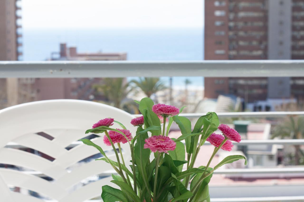 Niza Apartamento