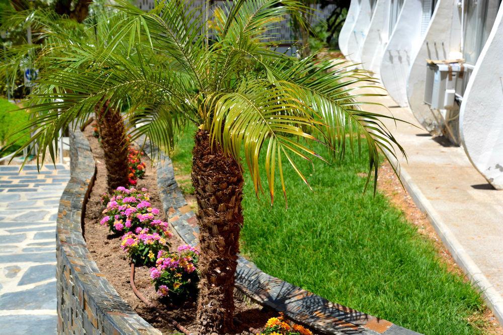 Playmon Park Benidorm