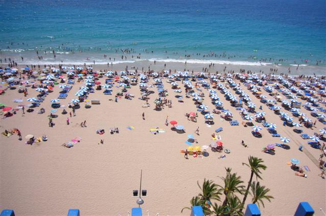 Palmeras - Arena Apartamento Benidorm
