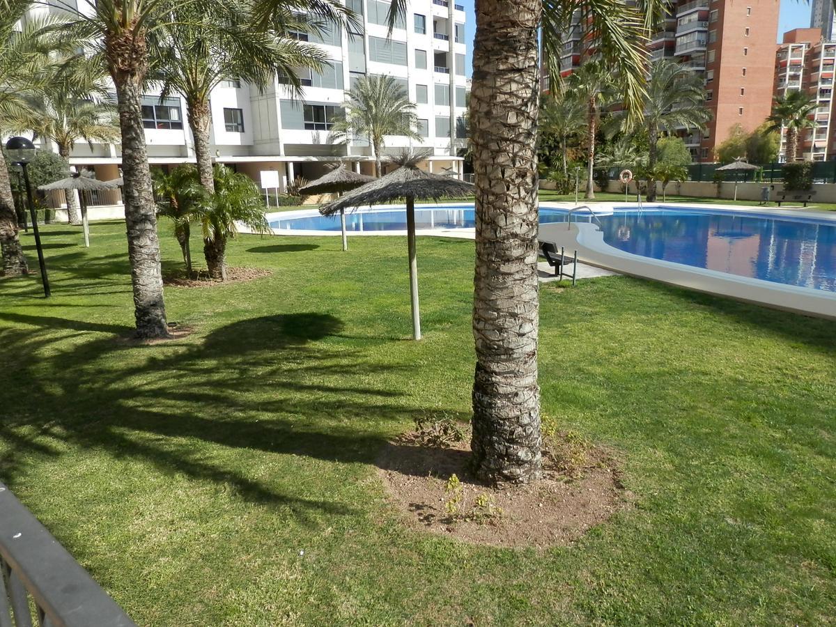 Gemelos 26-fincas Apartamento Benidorm