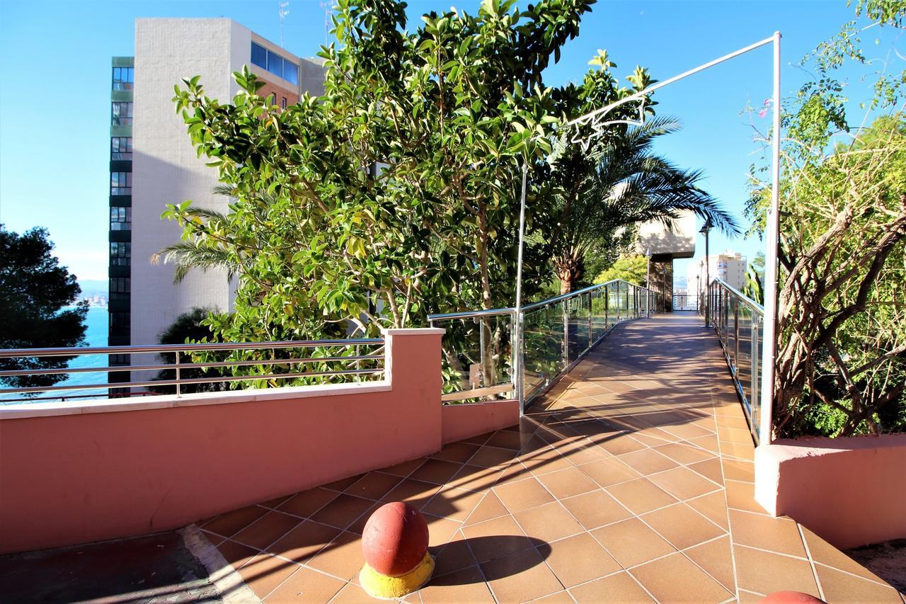 Don Miguel Ii 11-f Benidorm