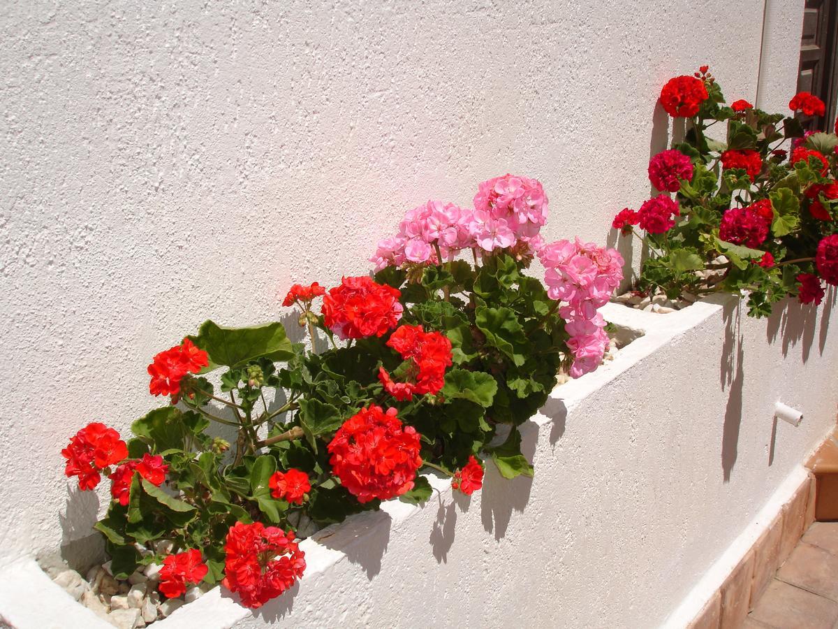 Terraced House - Apartamento *