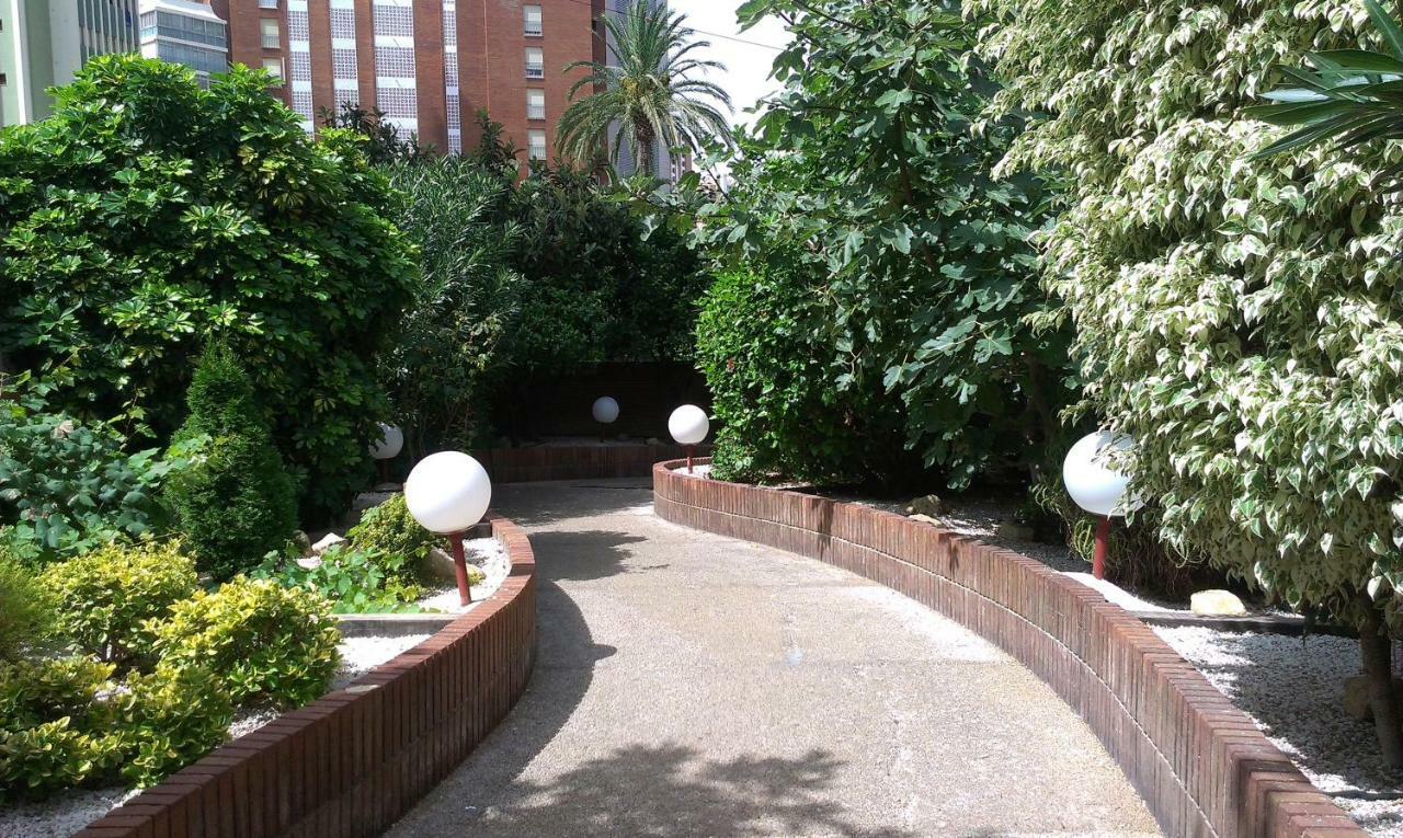 New Trebol Apartahotel Benidorm