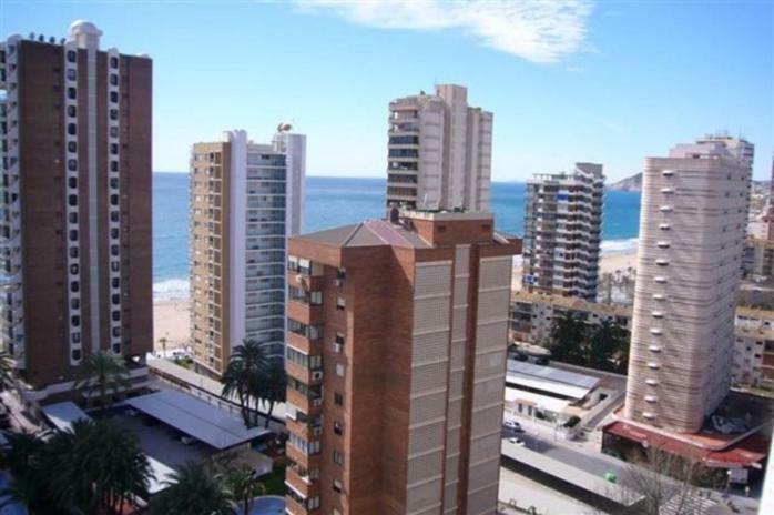 Caballos - Arena Benidorm
