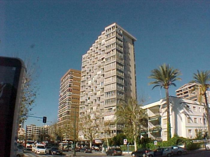 Caballos - Arena