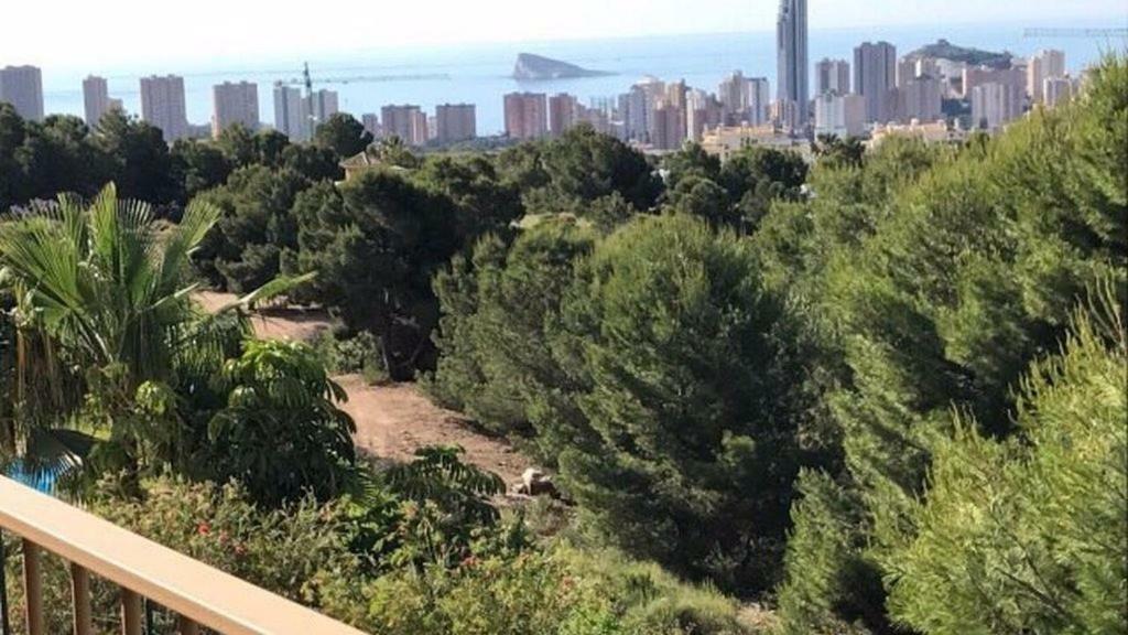 Apartamento Carrer Berna
