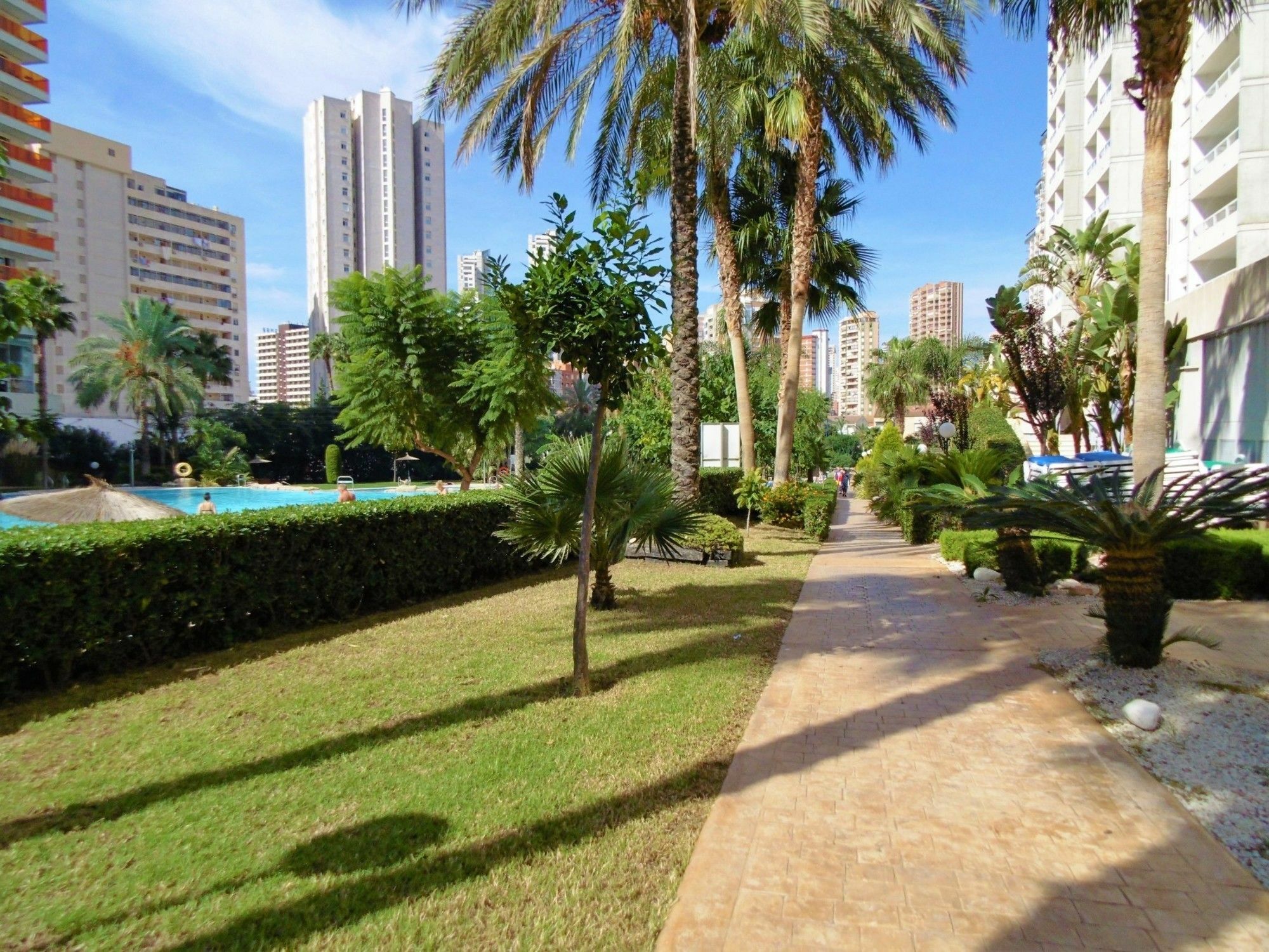 Gemelos 22 - Benidorm